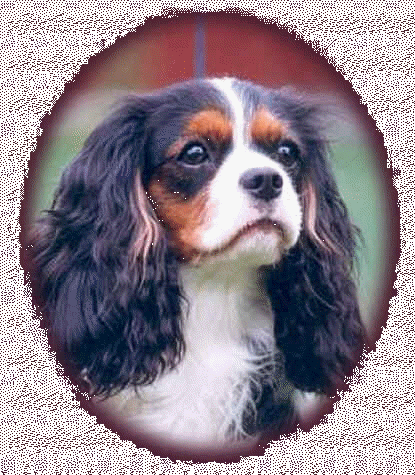 Greting�s Camille Claudel